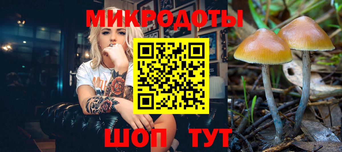 Ростов Великий  Псилоцибиновые грибы мицелий  Вход с VPN  Псилоцибиновые грибы MAGIC MUSHROOMS 