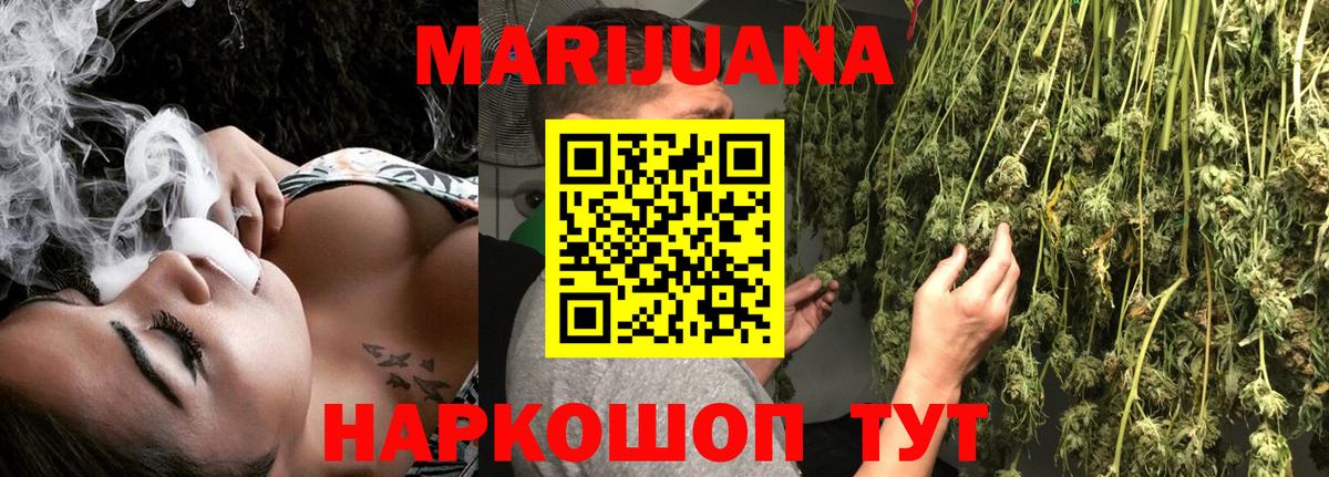 Бошки Шишки планчик  Каннабис планчик  Ростов Великий  Вход с VPN 